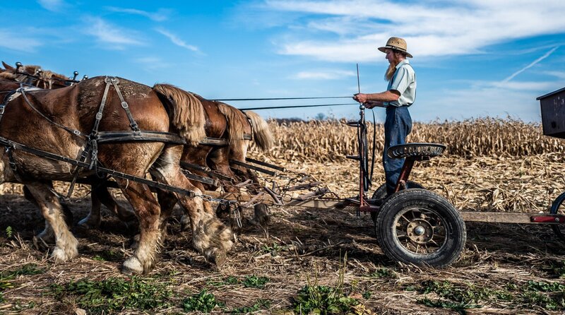 Das Leben der Amish – Bild: ORF/​ZDF