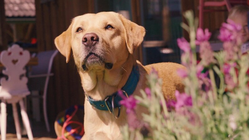 Bild: @Red Bull Media House/​ServusTV