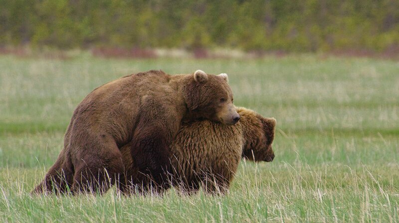 Bild: WDR/​Mark Emery