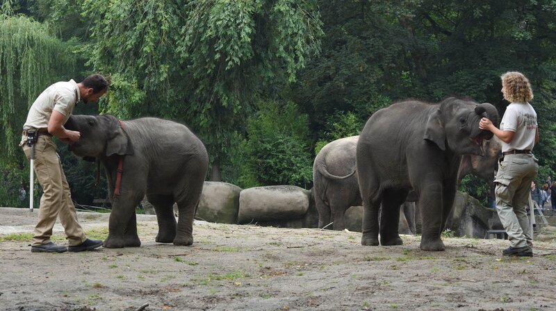 Bild: NDR/​Doclights GmbH