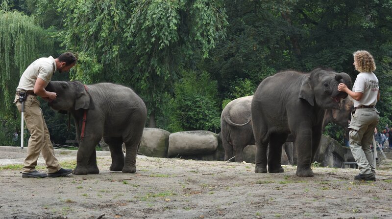 Bild: NDR/​Doclights GmbH