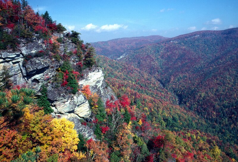 Herbststimmung. – Bild: ORF III Herbststimmung. – Bild: ORF III