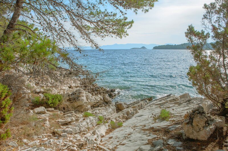 Mljet – auch als Odysseus-Insel bekannt – ist mit über 70 Prozent Waldfläche eine der waldreichsten Inseln im gesamten Mittelmeerraum. – Bild: Torben Müller/​Vincent Productions