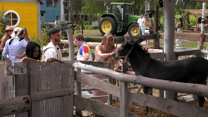 Bild: RTLZWEI, Constantin Entertainmen