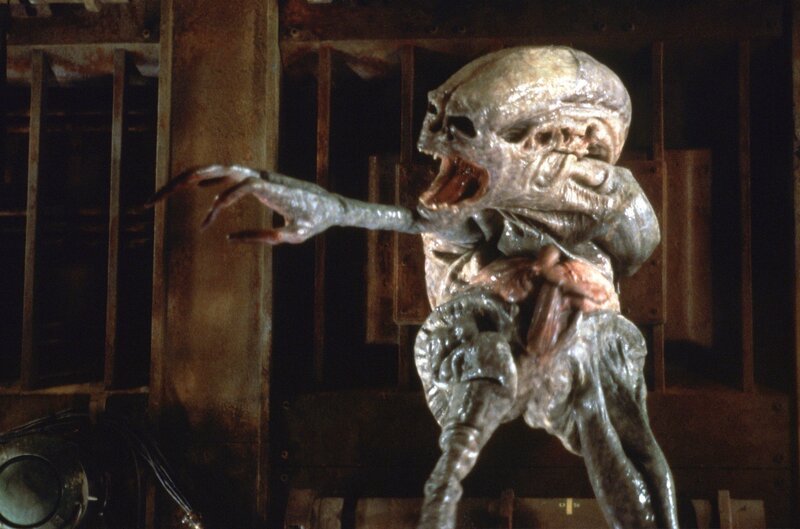 The newborn alien in ALIEN: RESURRECTION. Alien Resurrection, Alien – Die Wiedergeburt. Regie Jean-Pierre Jeunet – Bild: Twentieth Century Fox Film Corporation /​ Syfy