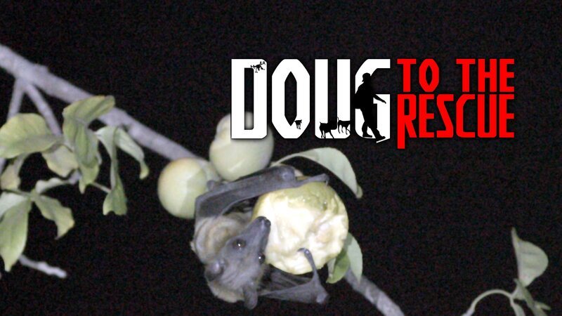 Bild: Curiosity Stream