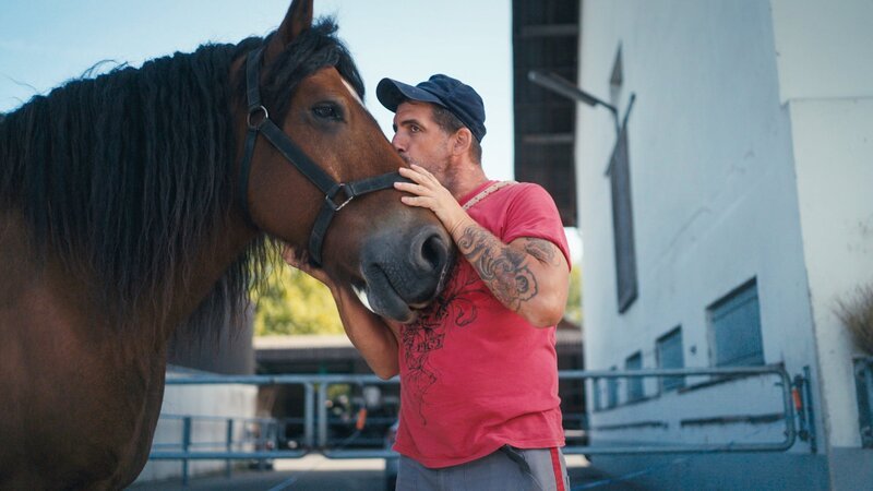 Bild: SRF/​NZZ Format