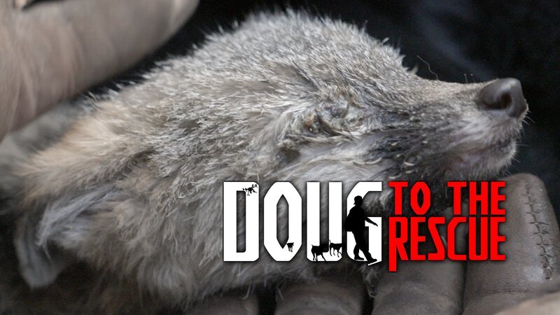 Bild: Curiosity Stream Bild: Curiosity Stream