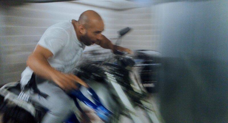 Toro – Bild: Rocco di Mento /​ ZDF