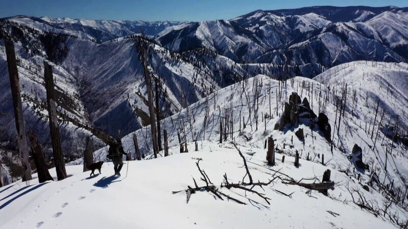 Unbekannt – Bild: Discovery