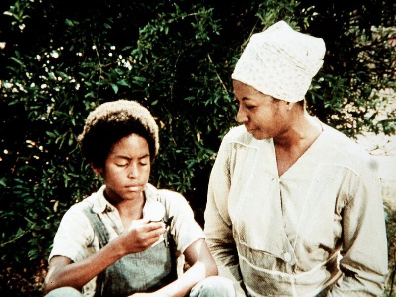 Zusammen mit seinem Vater soll Jody Forster (Erin Blunt, l.) bei der Pfirsichernte mithelfen. Schnell fasst Verdie Grant (Lynn Hamilton, r.) große Zuneigung zu dem kleinen Jungen. – Bild: Sat.1 Gold