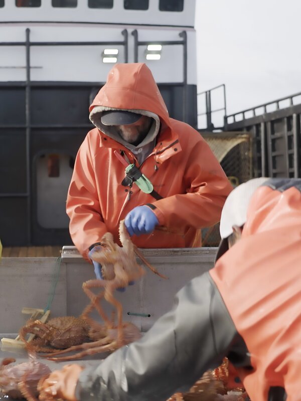 Bild: Discovery Channel /​ Discover Images /​ Discovery, Inc.