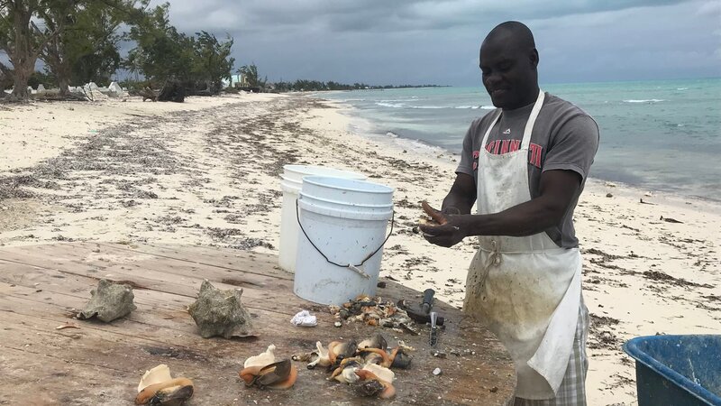 The Conch Man at Da Conch Shack as seen on HGTV’s Caribbean Life – Bild: HGTV /​ Scripps Networks