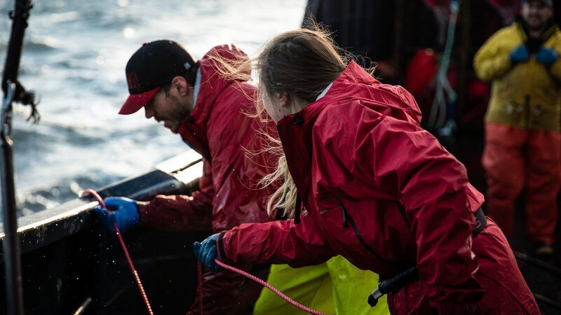 Bild: Discovery Channel /​ Discover Images: DDCTC19A1A01_DC /​ Discovery, Inc.