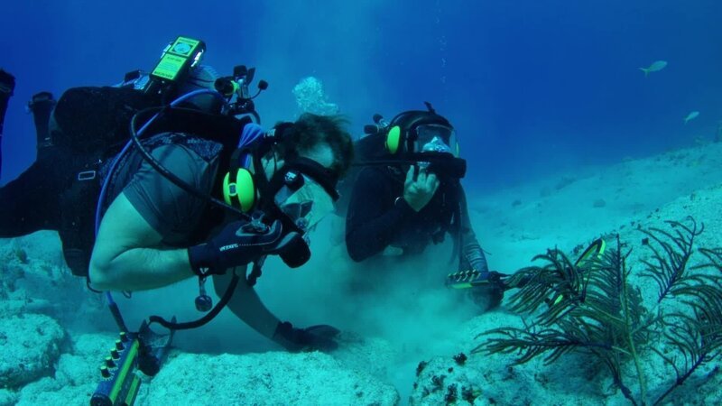 Unbekannt – Bild: Discovery