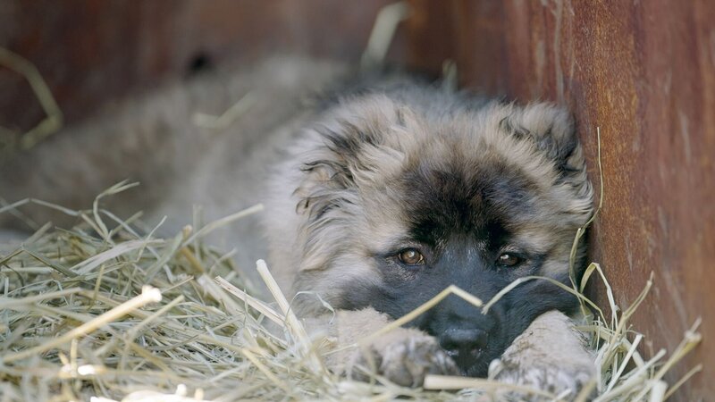 Bild: Medienkontor /​ Dunja Engelbrecht