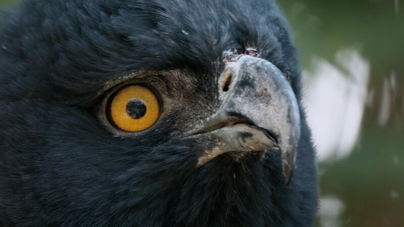 Bild: Die Anden /​ RTL /​ Terra Incognita Docs