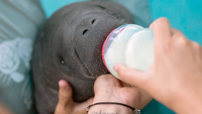 Bild: MedienKontor/​Jorge Lopez