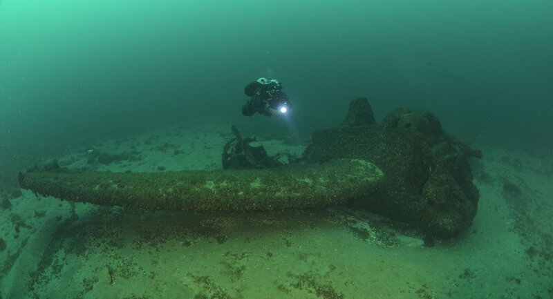 Bild: 2020 NGC Network US, LLC. All rights reserved. Lizenzbild frei