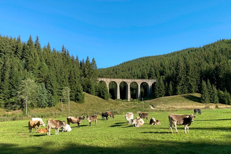 Slowakei – Kleines Land der grossen Überraschungen
Das Chmarošský Viadukt im Dörfchen Telgárt ist ein technisches Denkmal und eines der beliebtesten Fotomotive der Slowakei.
SRF/​NDR/​TELLUX-Film GmbH/​Till Lehman – Bild: SRF/​NDR/​TELLUX-Film GmbH/​Till Lehman