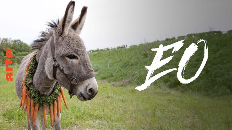 – Bild: Arte – Bild: Arte