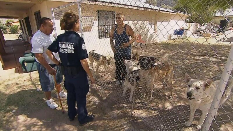 Bild: Tanja Bachetzky