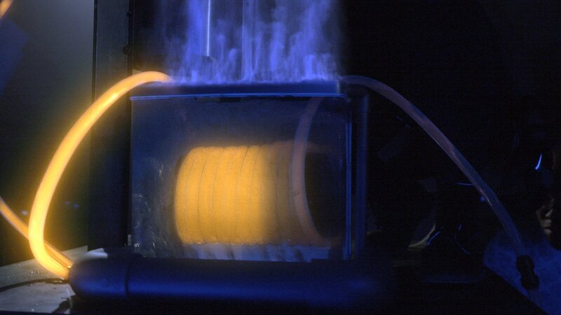 Bild: PLURIMEDIA (Asylum Entertainment)