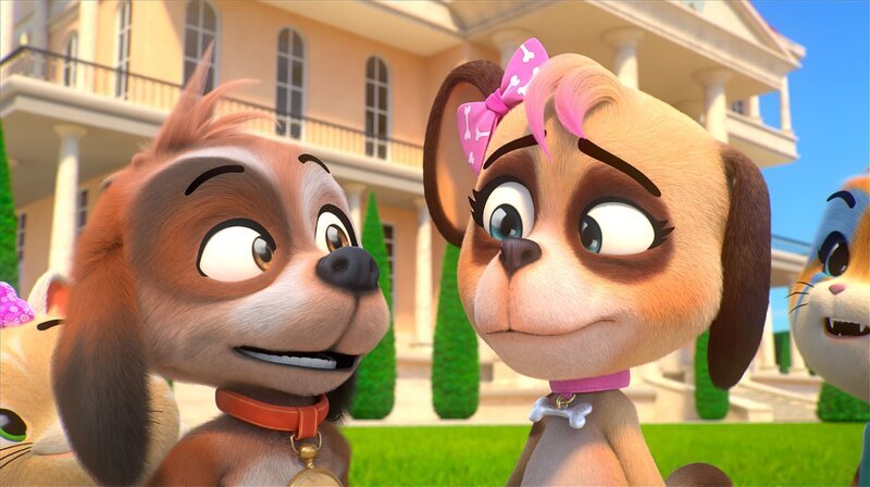 Nicht nur Metti und Pilou sind heute in Streit-Laune. Auch die beiden Hundewelpen Bucky (l.) und Zoe streiten sich ständig. Die Buffycats versuchen, die Kleinen mit Musik und Sport abzulenken. – Bild: Rainbow S.r.l.