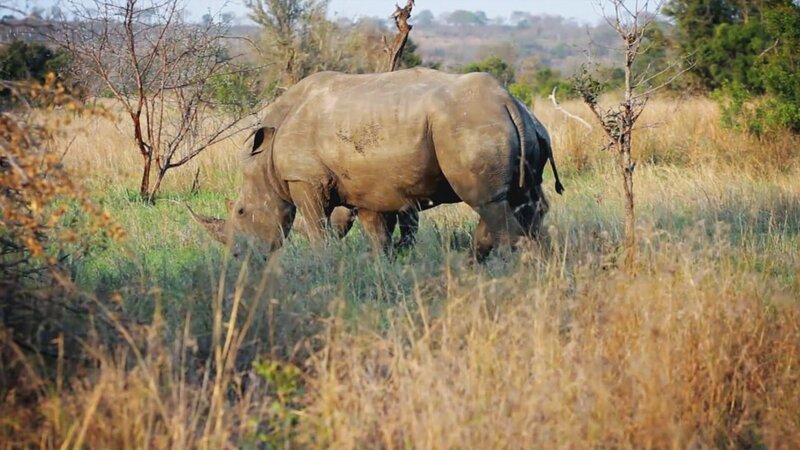 . – Bild: Warner Bros. Discovery