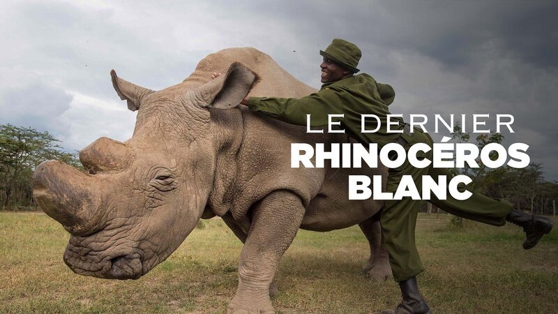 – Bild: Arte – Bild: Arte