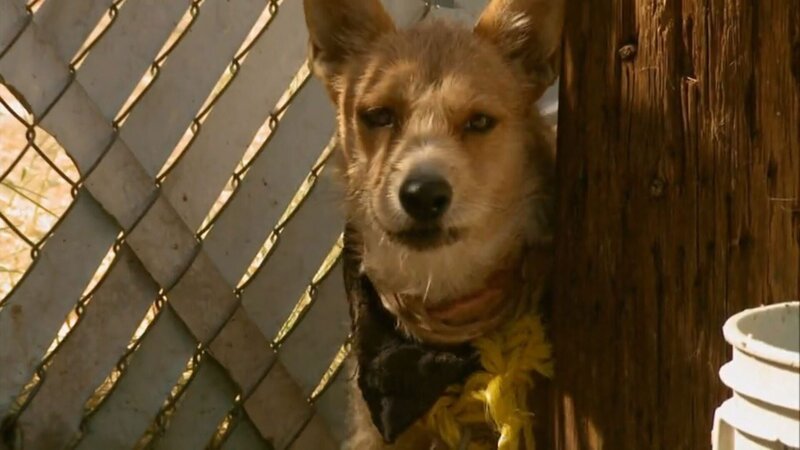 Bild: Tanja Bachetzky