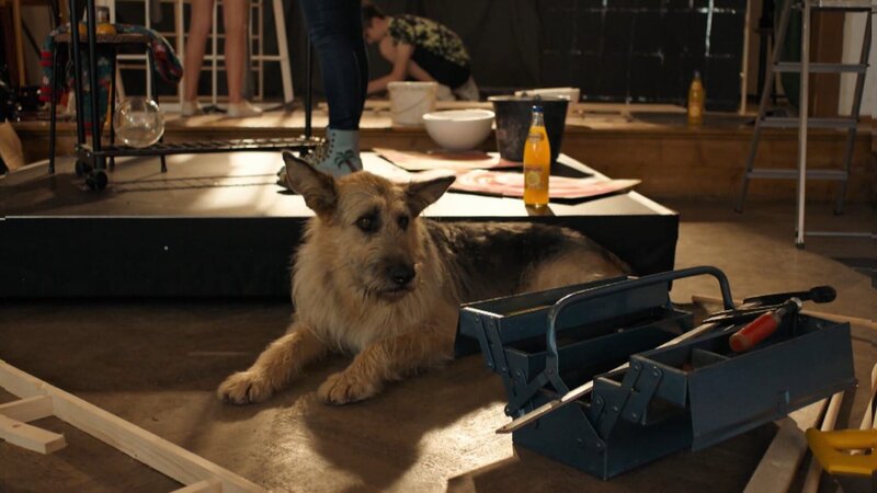 Bild: BR /​ Filmbüro Münchner Freiheit GmbH