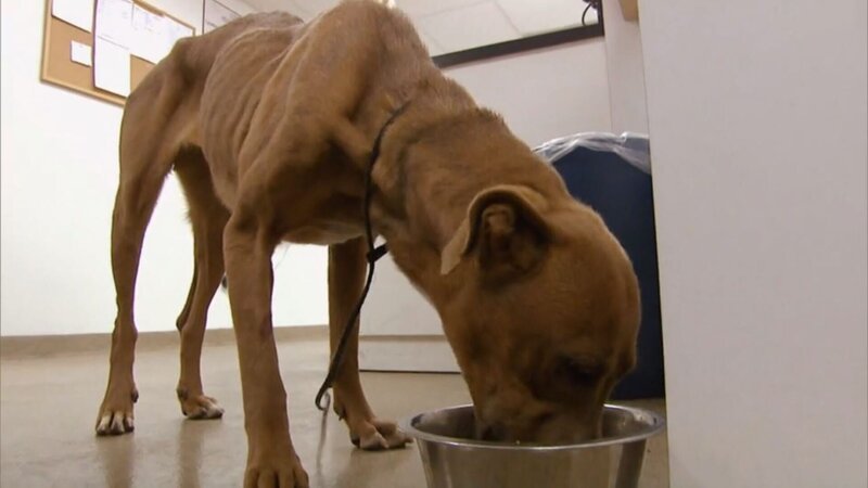 Bild: Tanja Bachetzky