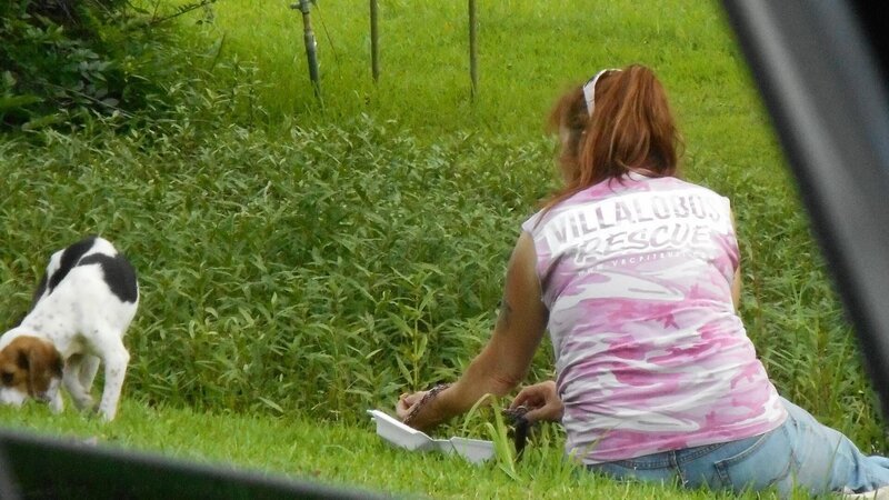 Bild: Animal Planet /​ Discovery Communications