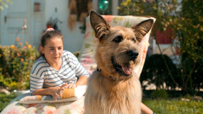 Bild: BR/​Filmbüro Münchner Freiheit GmbH