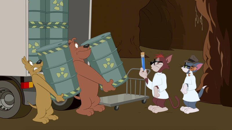 v.li.: Ace, Rocco, Meathead Cat, Tom, Jerry – Bild: MAX Hungary
