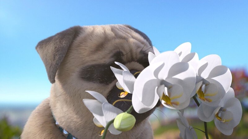 Bild: PLURIMEDIA (TeamTo)