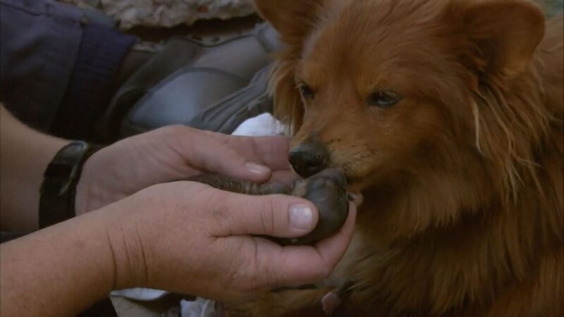 Bild: Tanja Bachetzky