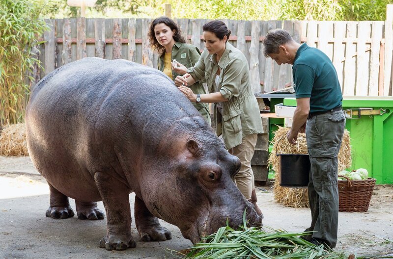 Großer Schock bei der Sportgruppe „Graue Tiger“: Tom (Alexander Becht, liegend), der Trainer von Charlotte Baumgart (Ursela Monn, vorne l.), ist schwer verunglückt. (mit Komparsen) – Bild: ARD/​Steffen Junghans