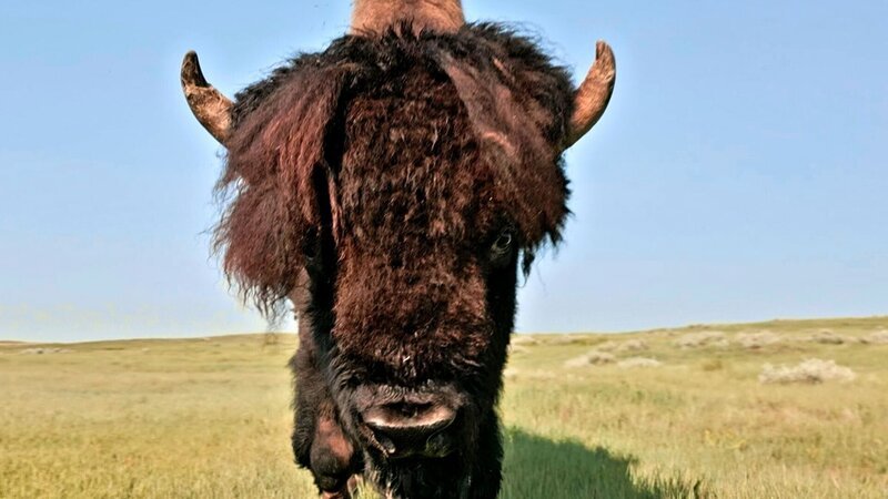 Bild: Gedeon Programmes