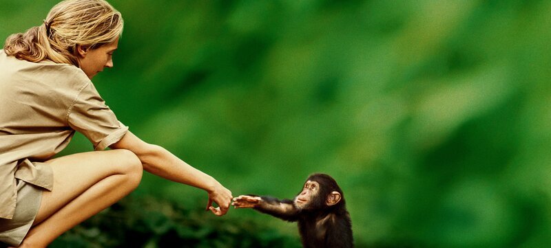 Bild: National Geographic