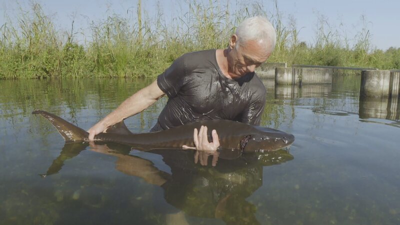 . – Bild: Warner Bros. Discovery