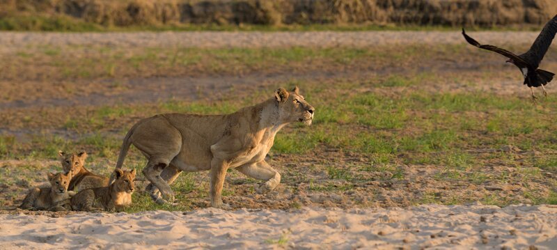 Bild: MarcMOL /​ MarcMOL