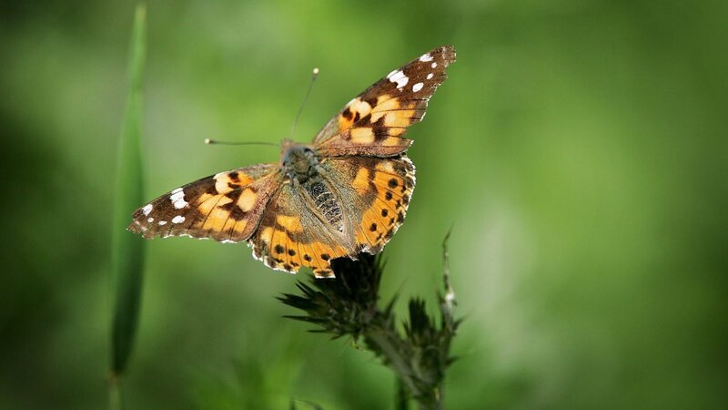 . – Bild: Warner Bros. Discovery