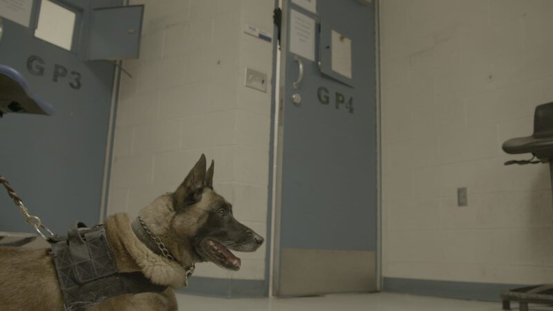 Bild: National Geographic