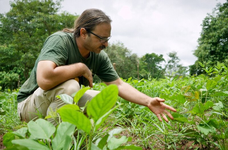 Eduardo Malta vom Instituto Socioambiental in Brasilien leitet eines der größten Wiederaufforstungsprojekte im Amazonasgebiet, bei dem mittels der sogenannten Muvuca-Technik mehrere Tausend Bäume pro Hektar gepflanzt werden. – Bild: ARTE F / Story Productions/Galaxie Presse Eduardo Malta vom Instituto Socioambiental in Brasilien leitet eines der größten Wiederaufforstungsprojekte im Amazonasgebiet, bei dem mittels der sogenannten Muvuca-Technik mehrere Tausend Bäume pro Hektar gepflanzt werden. – Bild: ARTE F / Story Productions/Galaxie Presse