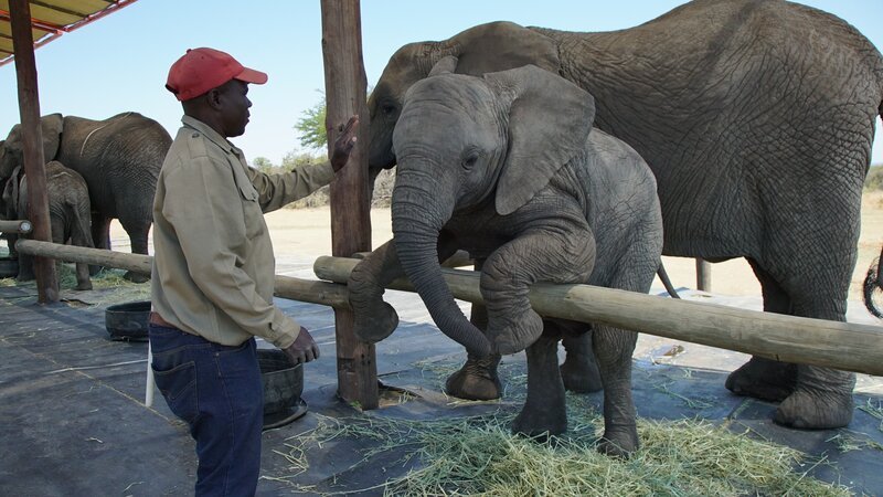 Bild: Animal Planet /​ 36394_ep106_011 /​ Discovery, Inc.