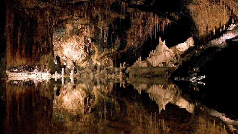 Bild: MDR/​NDR Naturfilm/​Capricornum