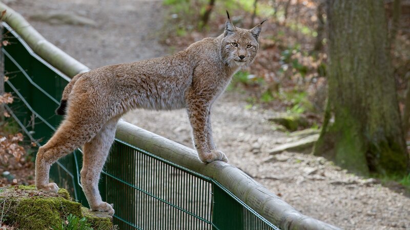 Bild: NDR/​Doclights GmbH/​Uwe Anders