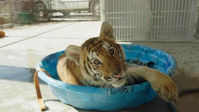 . – Bild: Warner Bros. Discovery